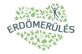 Erdőmerülés